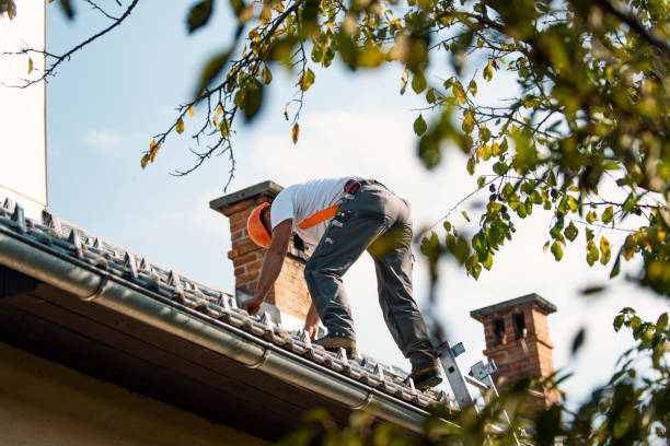 Best Best Roofing Contractors  in Clare, MI